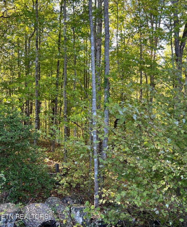 822 W Bates St, Home with 0 bedrooms, 0 bathrooms and null parking in Rockwood TN | Image 7