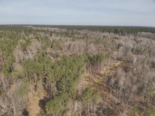 34-19-16 Laney Rd, Junction City, AR, 71749 | Card Image