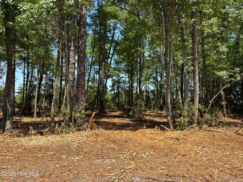 Lot 4 Swamp Fox Hwy E, Tabor City, NC, 28463-9328 | Card Image