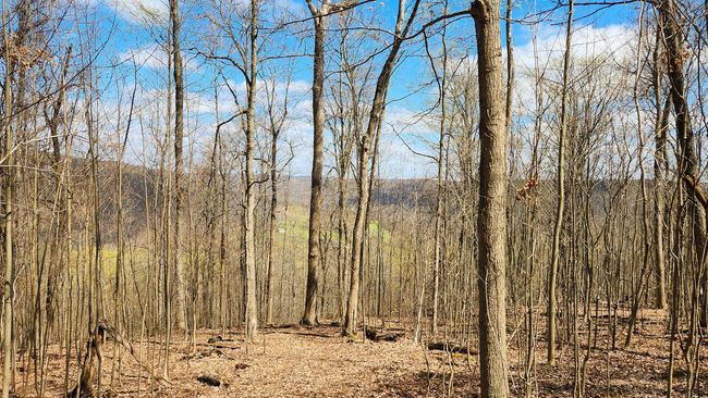 TRACT-2-PIKE-LAKE-GETAWA - 0 Pike Lake Rd, Home with 0 bedrooms, 0 bathrooms and null parking in Bainbridge OH | Image 24