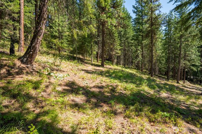 55 Wrangler Ln, House other with 3 bedrooms, 3 bathrooms and 2 parking in Leavenworth WA | Image 19