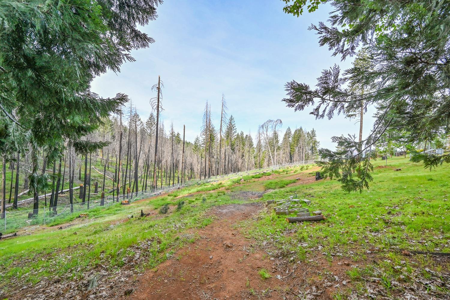 Land in Grizzly Flats