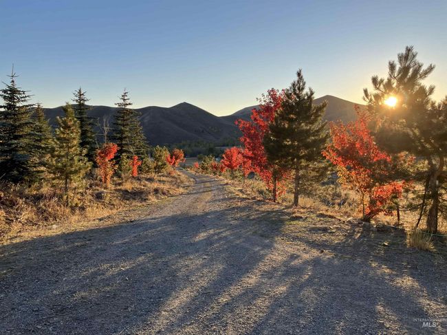 1262 N Soldier Creek Rd, House other with 3 bedrooms, 3 bathrooms and 5 parking in Fairfield ID | Image 4