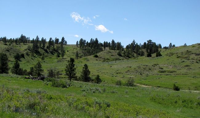 SC-25 - TBD Lone Rock Canyon Lane, Home with 0 bedrooms, 0 bathrooms and null parking in Hysham MT | Image 38