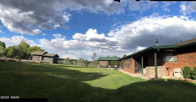 1092 green back yard | Image 7