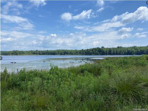 -1-15 Bailey Lake Rd, Kiamesha Lake, NY, 12751-5100 | Card Image