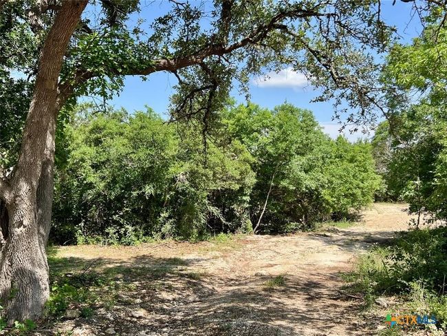 1698 S Us Highway 281, Home with 0 bedrooms, 0 bathrooms and null parking in Blanco TX | Image 8