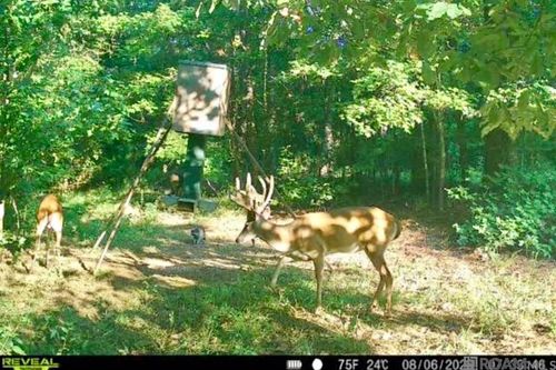 655 Oil Well Rd, Lorman, MS, 39096 | Card Image
