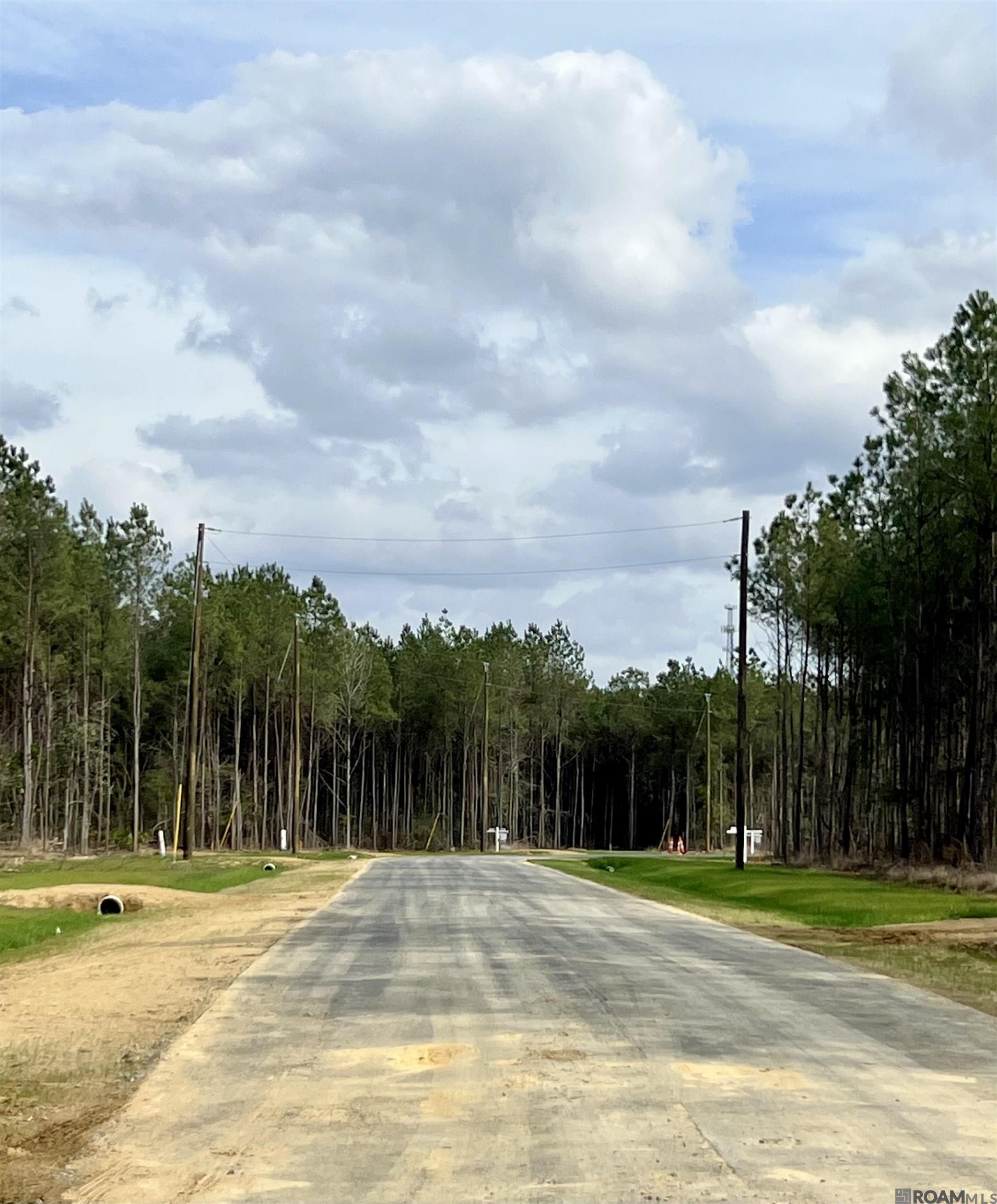 Land in Livingston 3