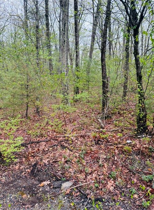 lot-2e-48 Mill Rd, North Brookfield, MA, 01535-1213 | Card Image