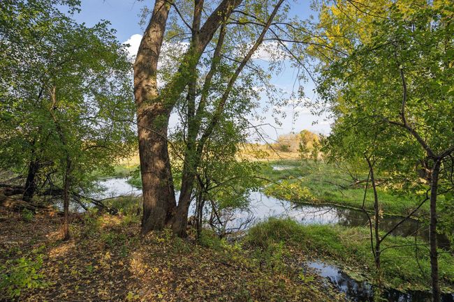 Beautiful views of Stanchfield Creek. | Image 57