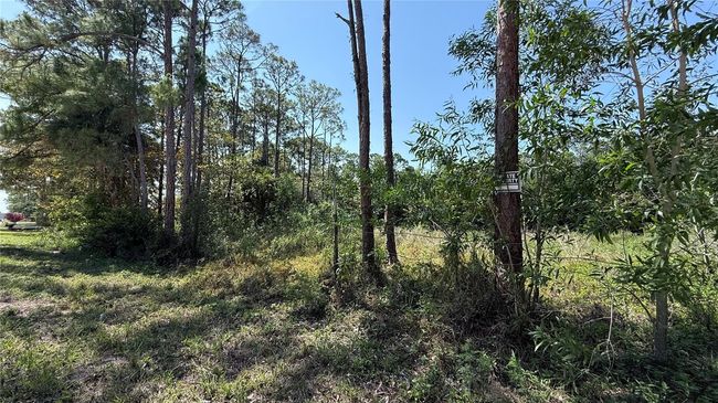 15127 86 Th Rd N, Home with 0 bedrooms, 0 bathrooms and null parking in Loxahatchee FL | Image 5
