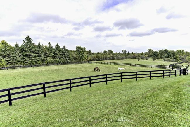 2601 Concession Rd 5, House other with 3 bedrooms, 2 bathrooms and 30 parking in Adjala Tosorontio ON | Image 26