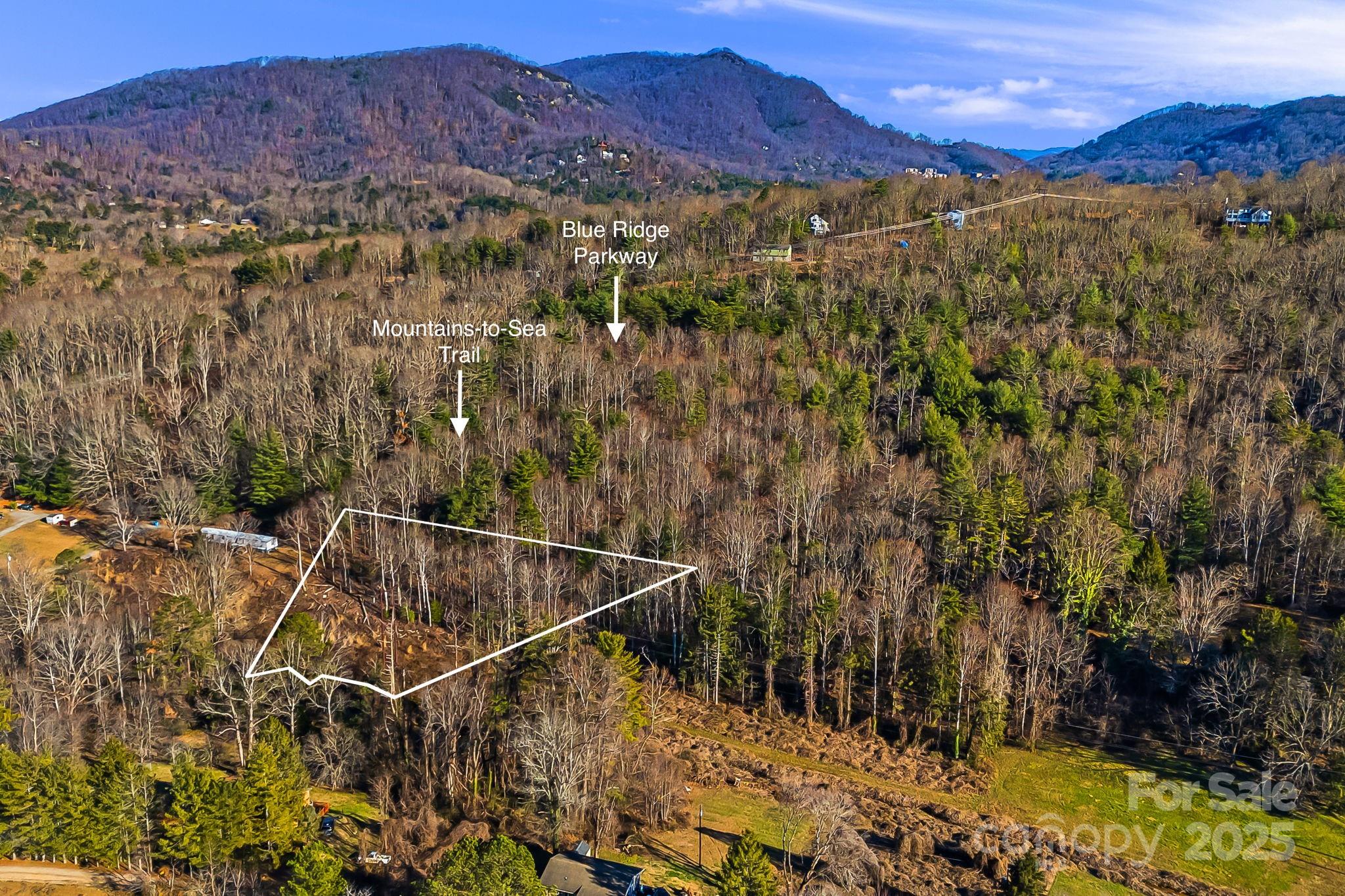 Land in Asheville 2
