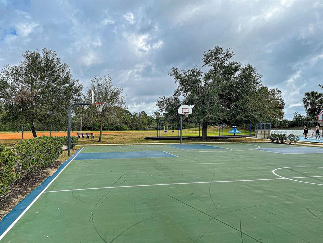 Basketball | Image 43