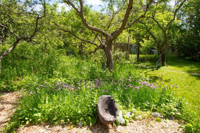 View of nature | Image 55