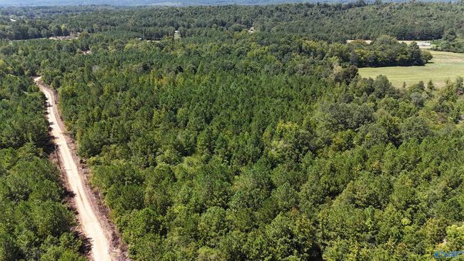 002 Hwy 68, Home with 0 bedrooms, 0 bathrooms and null parking in Gaylesville AL | Image 4