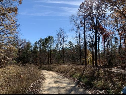 0 Kelly Rd, Medon, TN, 38356 | Card Image