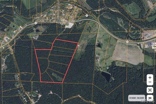 0 State Highway 34, Glenallen, MO, 63751 | Card Image