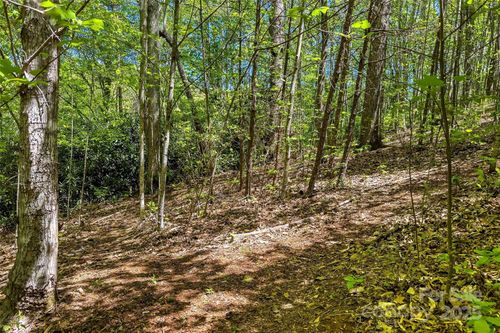 9-tbd Hunting Lodge Drive, Black Mountain, NC, 28711 | Card Image