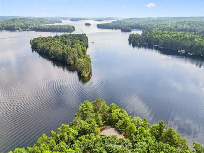 1176 Mccomb Point Dr, House other with 3 bedrooms, 3 bathrooms and 6 parking in Dorset ON | Image 4