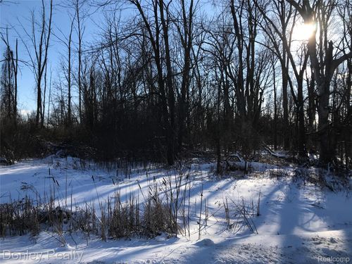 20 Vacant Lots Concord, Cranbrook & Tulane, Marlette, MI, 48453 | Card Image