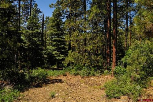 176 Big Timber Dr, Bayfield, CO, 81122 | Card Image
