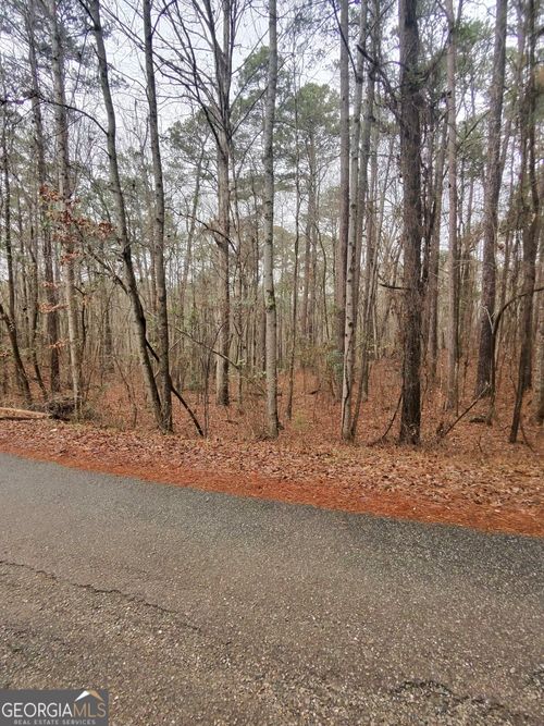 0 Goldeneye Ct, Monticello, GA, 31064 | Card Image