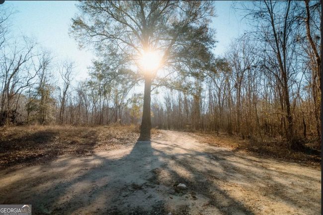 LOT11 - 0 Getaway Ln, Home with 0 bedrooms, 0 bathrooms and null parking in Surrency GA | Image 5