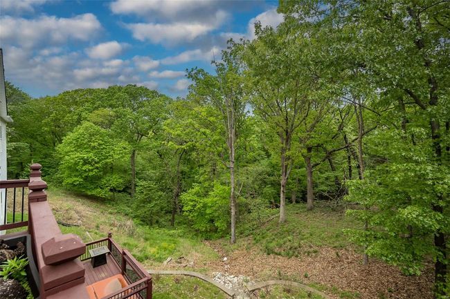 View of yard with a view of trees | Image 57