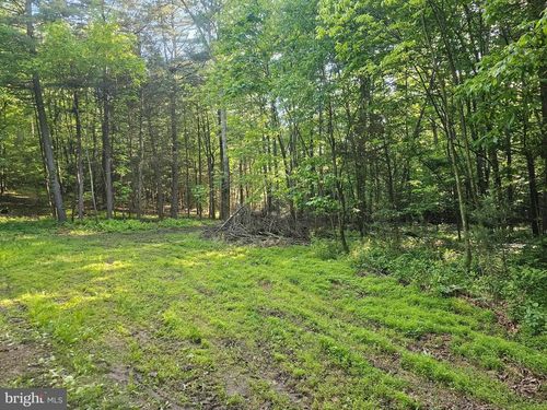 195 Knotty Pine Road, NEW BLOOMFIELD, PA, 17068 | Card Image