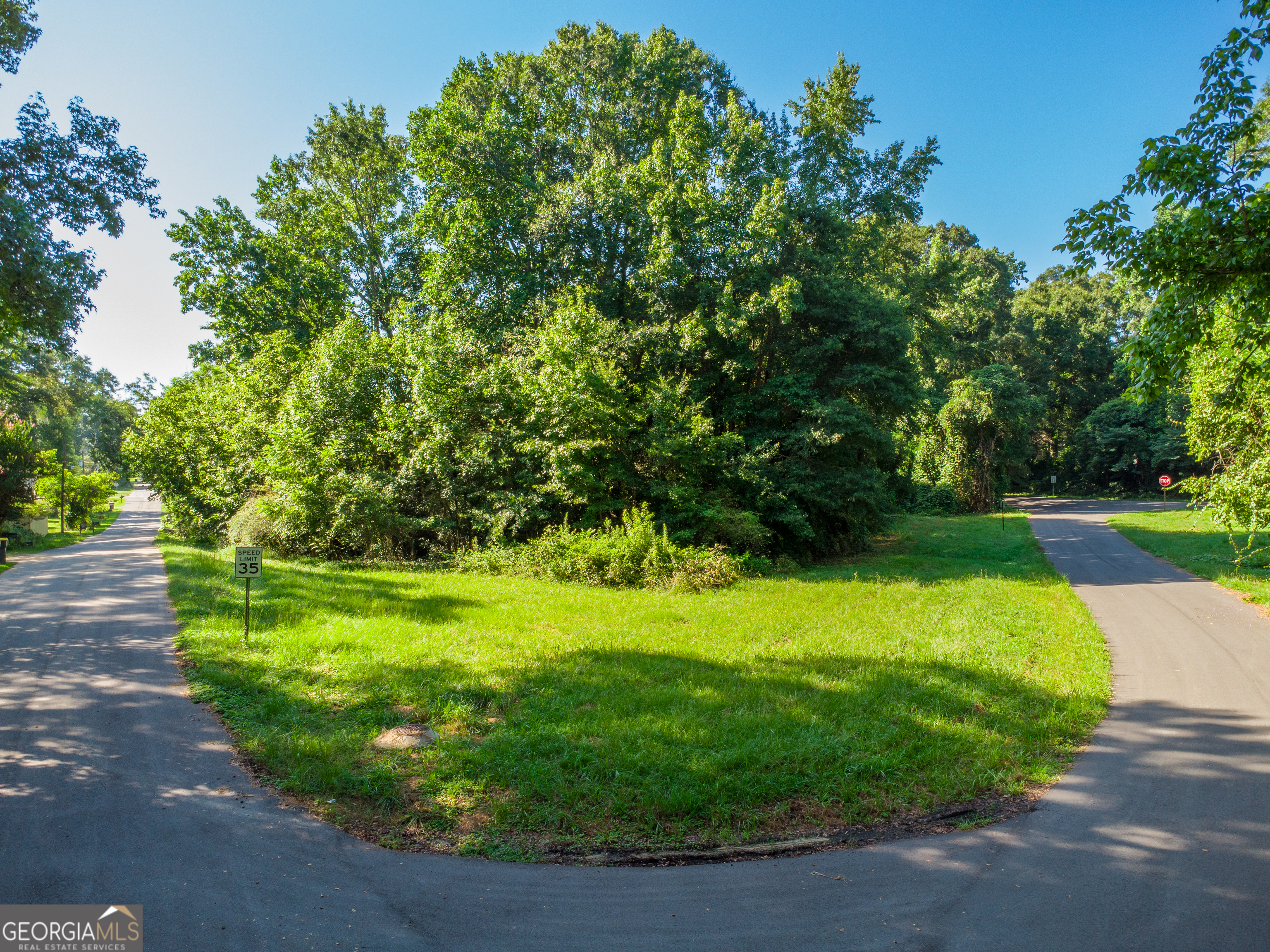 Land in Newnan 2