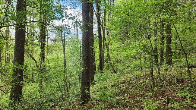 6291 Burke Rd, Home with 0 bedrooms, 0 bathrooms and null parking in Prattsburgh NY | Image 17