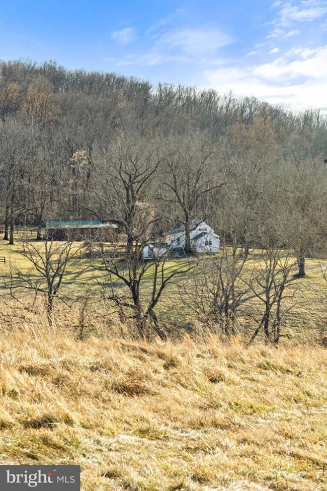 3671 Halfway Rd, House other with 3 bedrooms, 3 bathrooms and null parking in THE PLAINS VA | Image 57