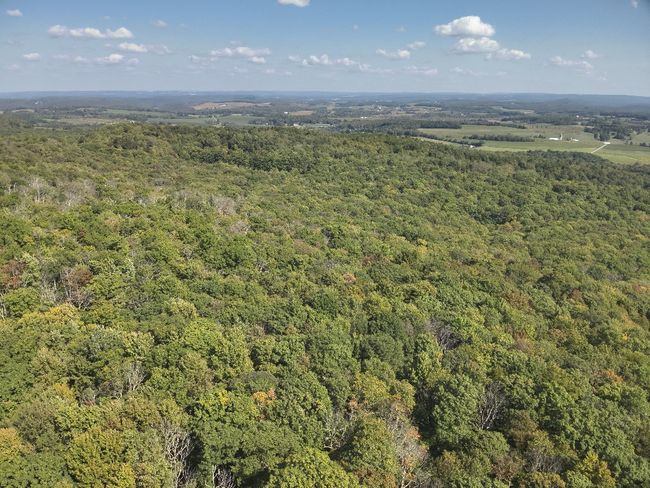 0 Forest Rd, Home with 0 bedrooms, 0 bathrooms and null parking in Boswell PA | Image 17