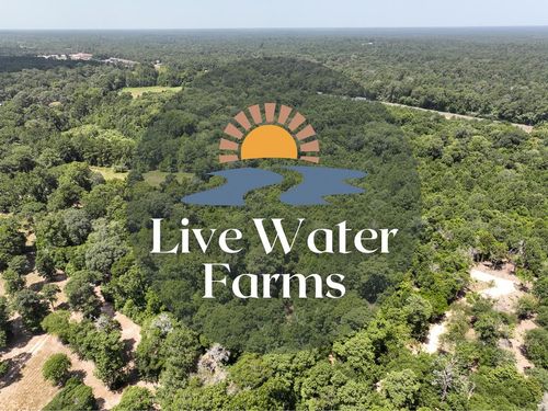 S1L2 Lake Pool Rd, Shepherd, TX, 77371 | Card Image