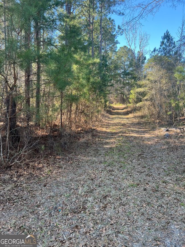 2734 Empire Chester Hwy, Home with 0 bedrooms, 0 bathrooms and null parking in cochran GA | Image 4
