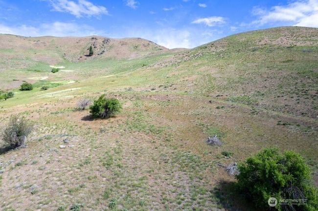 Trace of stagecoach trail through property! | Image 26