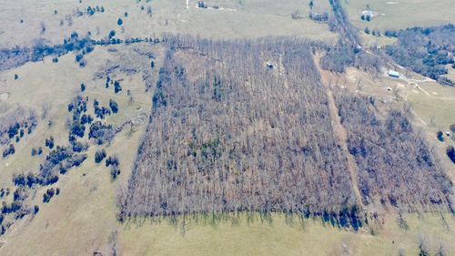 1790 County Road A-435, Ava, MO, 65608 | Card Image