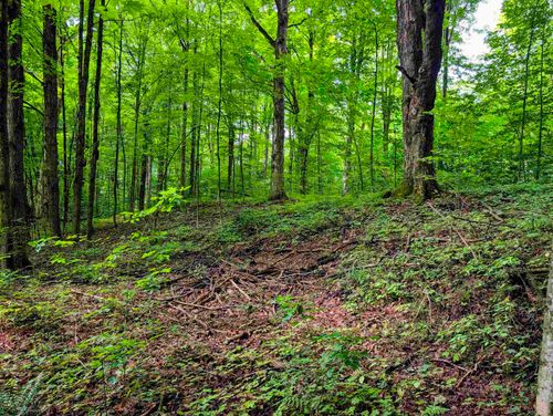 Lot 2 Winterbottom Rd, St. George, VT, 05495-8186 | Card Image