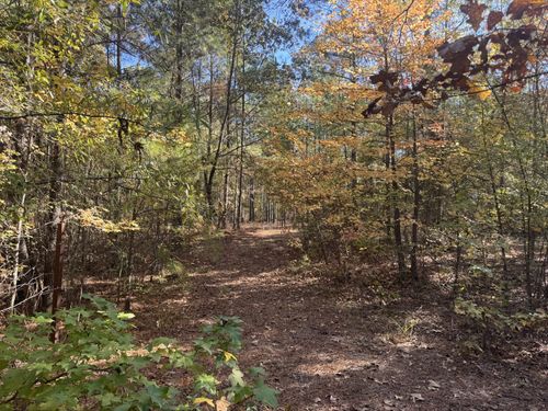 000 County Road 2451, Clarksville, TX, 75426 | Card Image