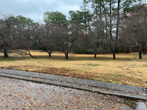 1322 Heron Oaks Cv, Memphis, TN, 38120-3240 | Card Image