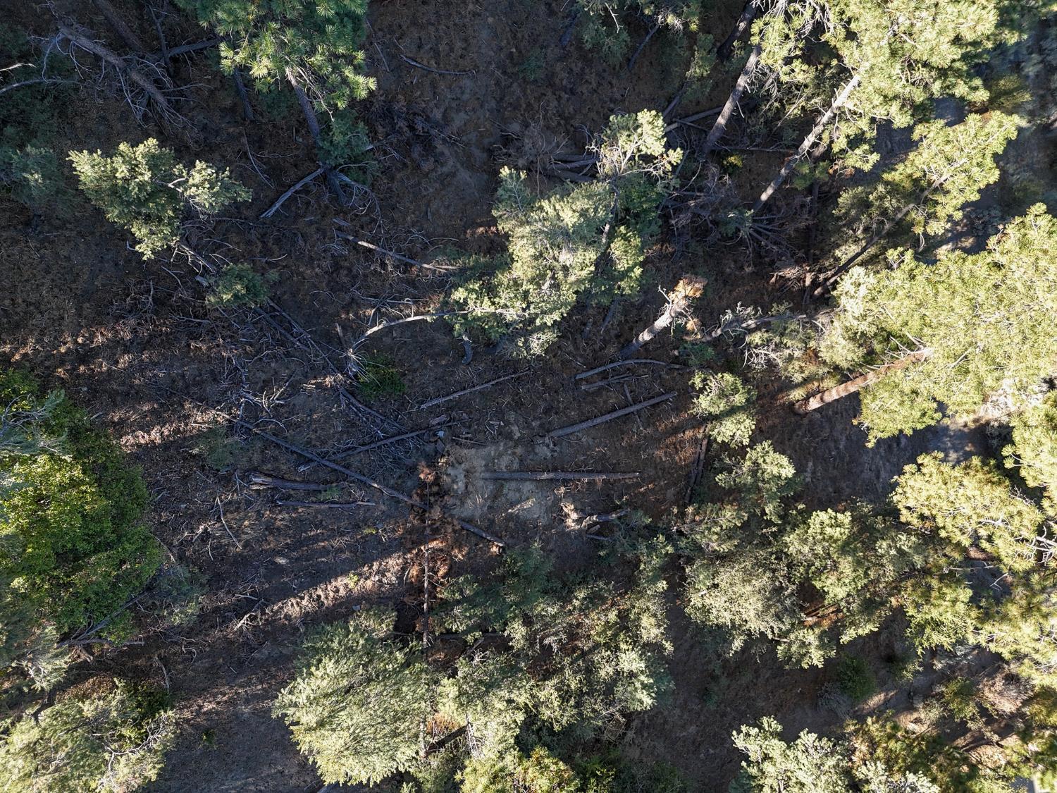 Land in Frazier Park 5