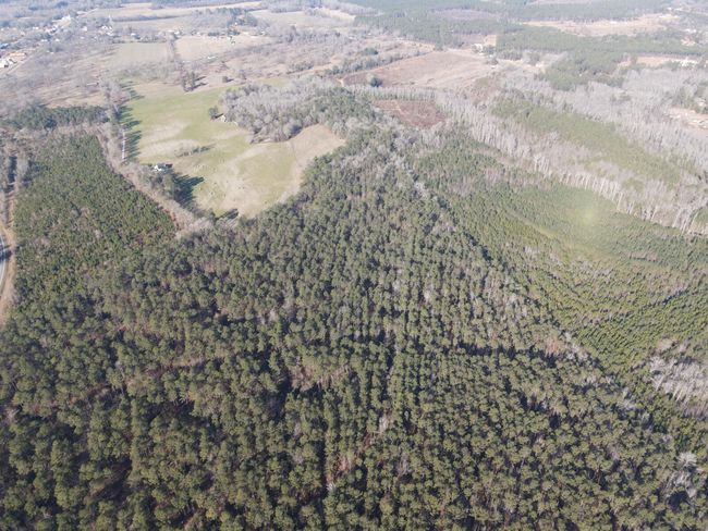 DJI_0873 | Image 7