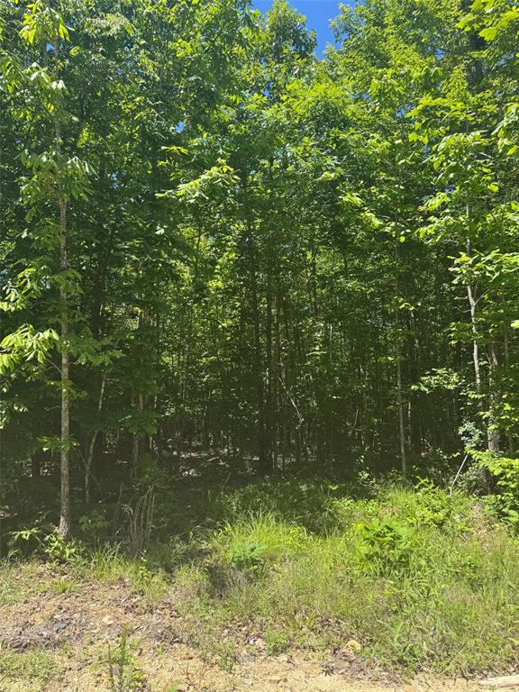 Land in Watson 4
