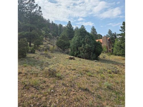 1139 Rio Grande Club Trl, South Fork, CO, 81154-8032 | Card Image