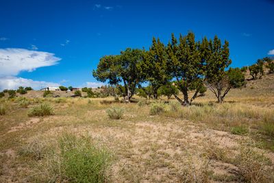 33750 Hwy 285, Home with 0 bedrooms, 0 bathrooms and null parking in Hernandez NM | Image 2