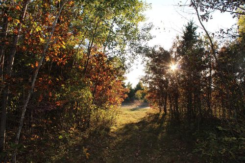 XXX Soderbeck Rd, Grantsburg, WI, 54840 | Card Image