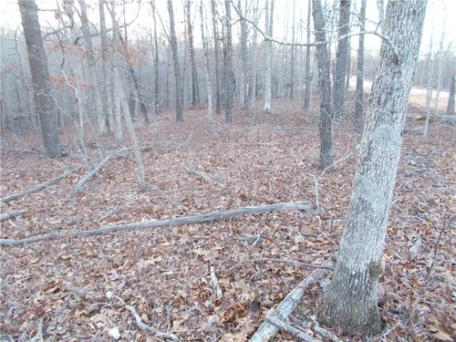 1 Oriole, Jane, MO, 64856 | Card Image