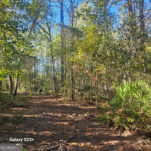 0 Highway 67, Pembroke, GA, 31321 | Card Image